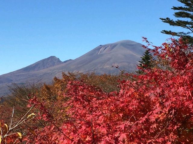紅葉穴場スポット😶‍🌫️群馬のめがね橋🍁