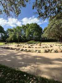 ☀️Yeo Park：Canterbury 社區裡的綠色小樂園 🌳