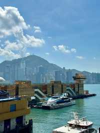 The Gilded Port: Where Commerce Meets the Camera 