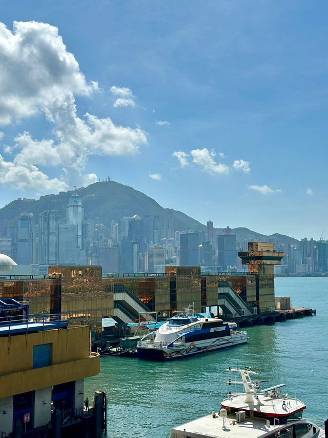 The Gilded Port: Where Commerce Meets the Camera 