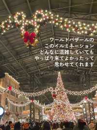 【 私の大好きなディズニーランド🎄 】