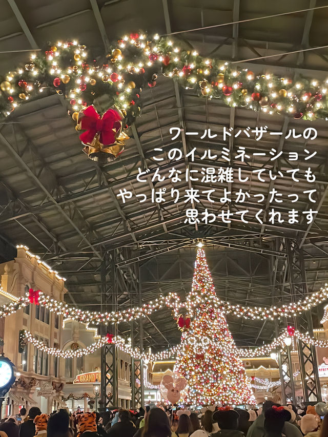 【 私の大好きなディズニーランド🎄 】