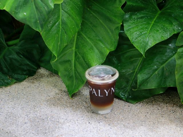 🌿☕️ PALYN Cafe and Eatery Samaesarn 🌿☕️ PALYN Cafe and Eatery Samaesarn