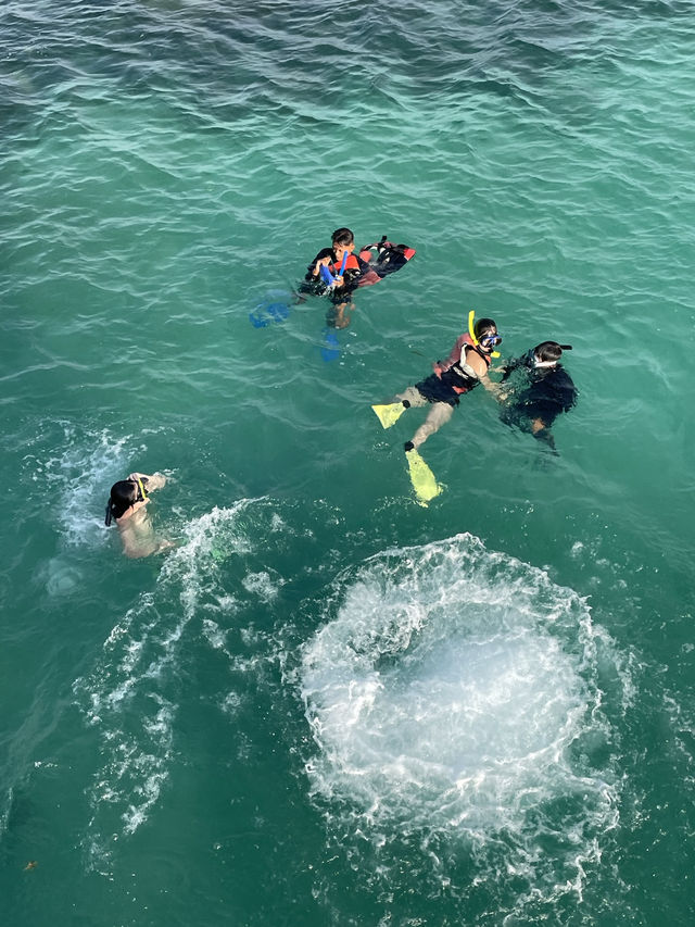 Pier Paradise Views🏝️ Pier Paradise Views🏝️