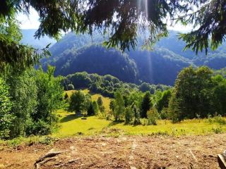 Apuseni Natural Park