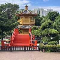 Limited budget but unlimited experience