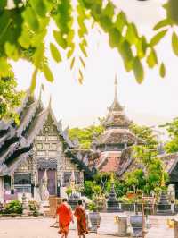 泰國🇹🇭清邁古城