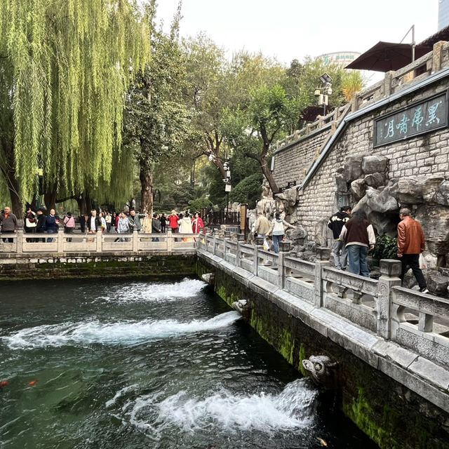 🚶‍♀️Jinan City Walk — From Springs to Old Streets
