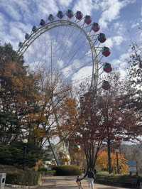 Everland Fall Magic🍁  