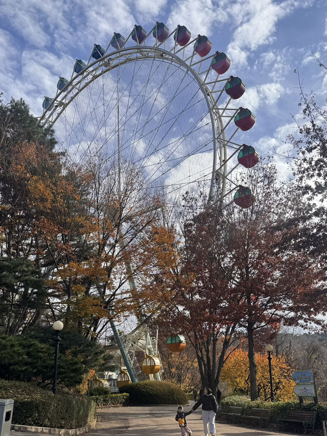 Everland Fall Magic🍁  