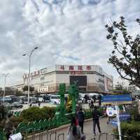 영원한 봄의 도시, 꽃이 지지않는 쿤밍