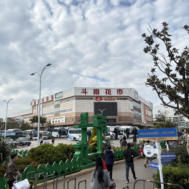 영원한 봄의 도시, 꽃이 지지않는 쿤밍