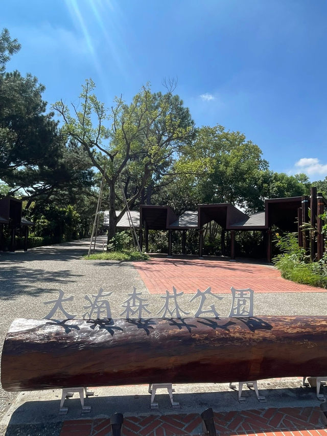 大湳森林公園 大湳森林公園