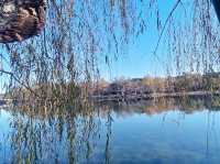 Chengde: Nature's Imperial Canvas