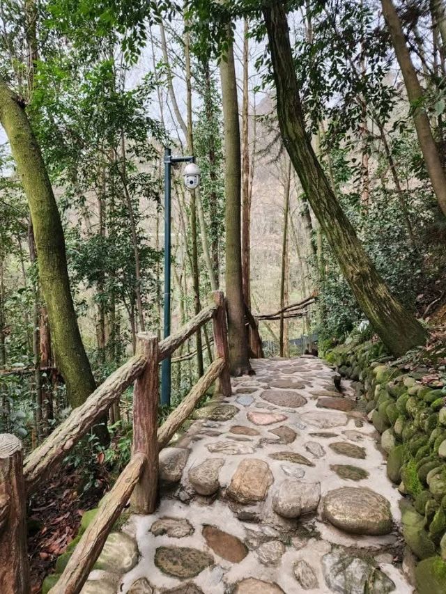 Panda Vibes & Chill Scenes at Chengdu’s Top Park 🐼☕️ Panda Vibes & Chill Scenes at Chengdu’s Top Park 🐼☕️