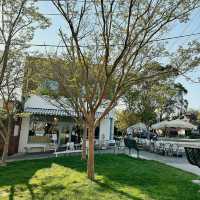 Sun-Kissed Sips & Garden Whispers