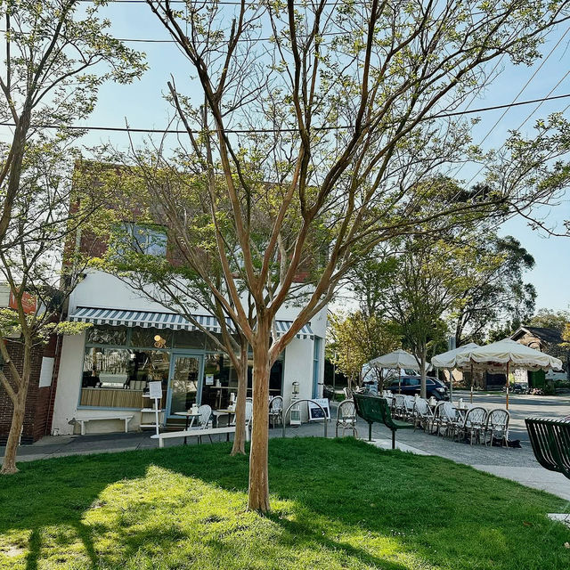 Sun-Kissed Sips & Garden Whispers Sun-Kissed Sips & Garden Whispers