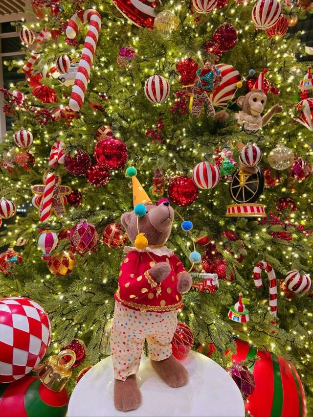 로맨틱 겨울낭만 가득한 경주 여행코스🎄 로맨틱 겨울낭만 가득한 경주 여행코스🎄