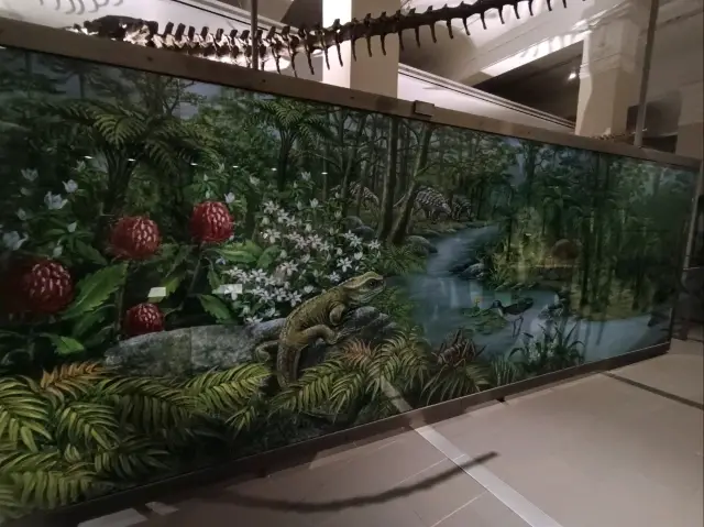 🏛️Auckland War Memorial Part 3🏛️