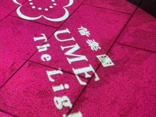 ส่องสว่างโลกแห่งหยินและหยาง