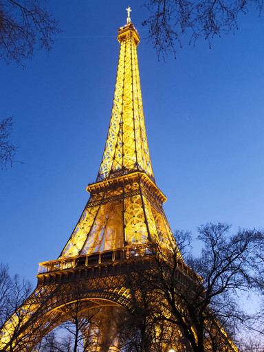 パリの鉄の心：エッフェル塔（La Tour Eiffel）の光と影の記録 | Trip