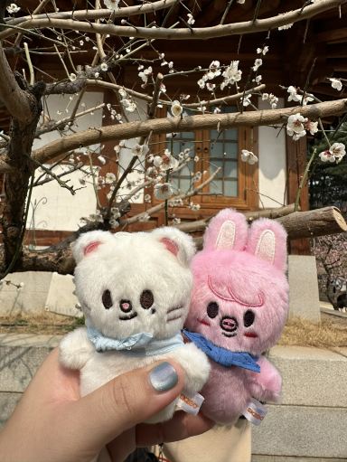初めての韓国。 | Trip.com ソウル