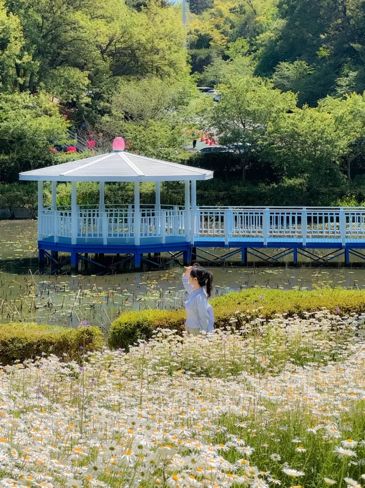 초여름의 하얀 꽃물결을 만끽 할 수있는 곳