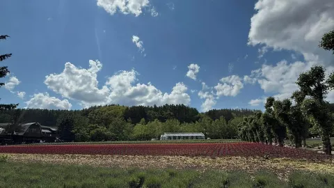 How to Plan a 6-Day, 5-Night Trip to Hokkaido. — traveler post in Kitami