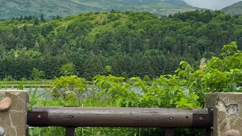 北海道の最北端、利尻島を探索。 — traveler post in 利尻