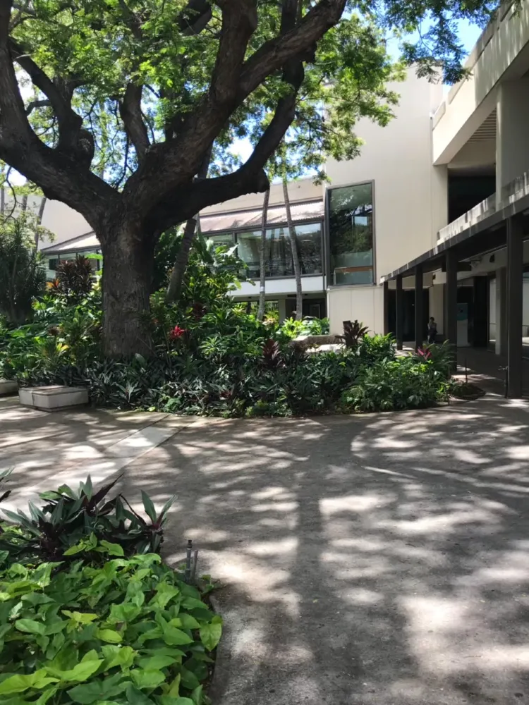 【夏威夷】唔止免稅店！丹尼爾·K·井上國際機場消遣好去處。