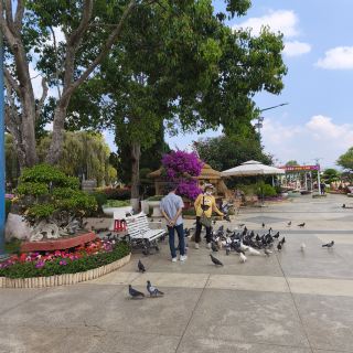 ดาลัด - Dalat Flower Garden