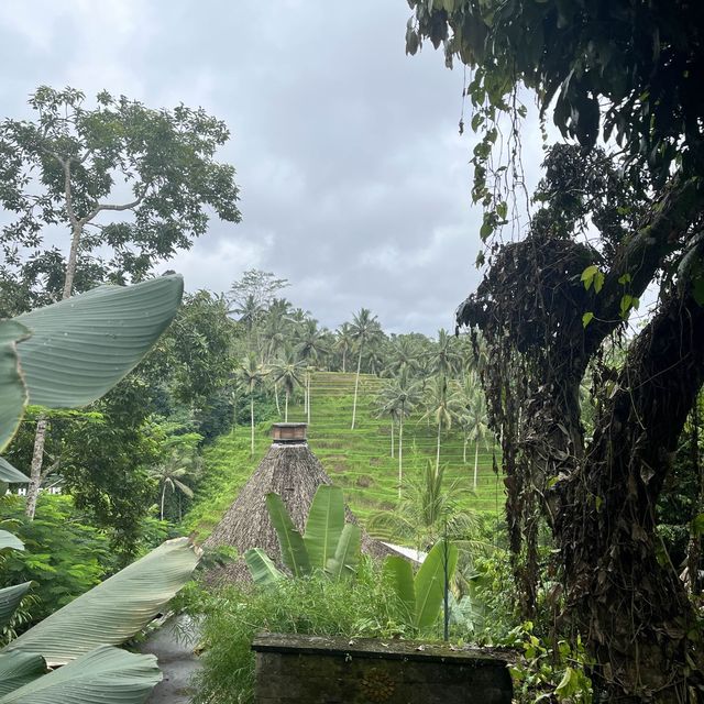 Unbelievable Ubud