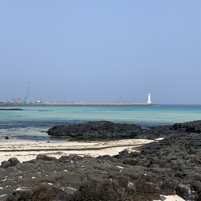 제주 세화해변🌊✨