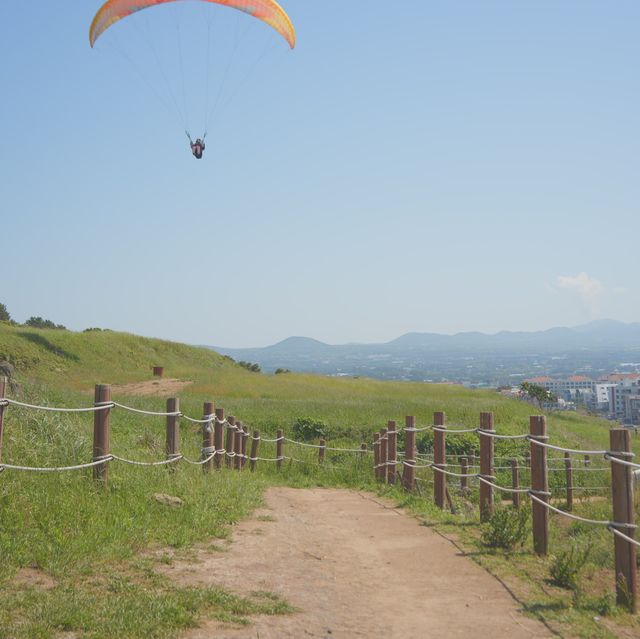 서우봉에서 보는 제주도 바다뷰 🏝️