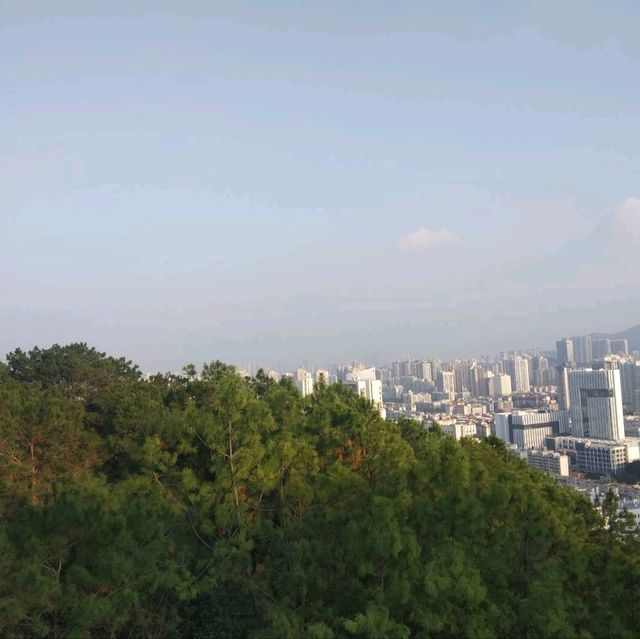 Xiamen home of beauty 