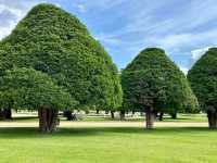 Hampton Court Palace 🇬🇧