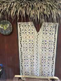 🪷世界初のアヤワスカ博物館へ🇵🇪ペルー【タラポト】