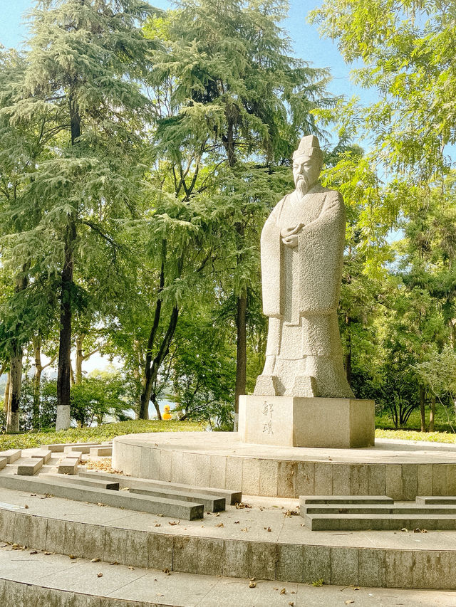 Peaceful Afternoon at Xuanwu Lake 🌿✨