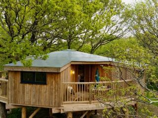 Wales Wild Escape✨Ceredigion