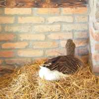 Tierpark… Local Zoo Greifswald Germany