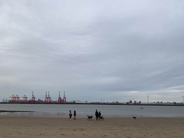 🌊 Maritime Elegance on the Wirral Coast 🕯️