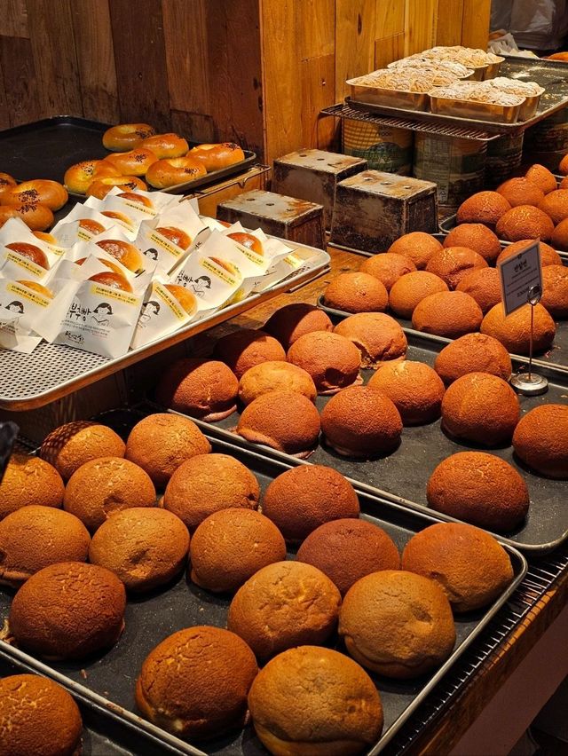 🇰🇷 대전여행 필수코스 성심당 빵집 🍞