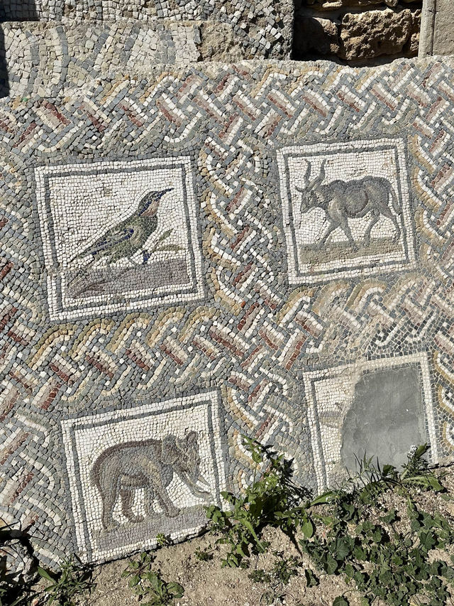 📍Carthage, Tunis 🏛️