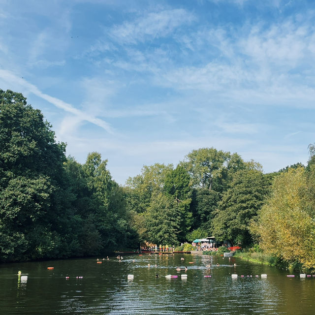 London Hampstead Heath: Ponds, Paths, and Panoramic Views