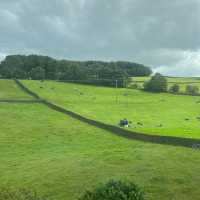 Into the Valley: Scenic Drives and Endless Views