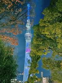 One Perfect Day in Tokyo: Skytree, Asakusa, and Amazing Food
