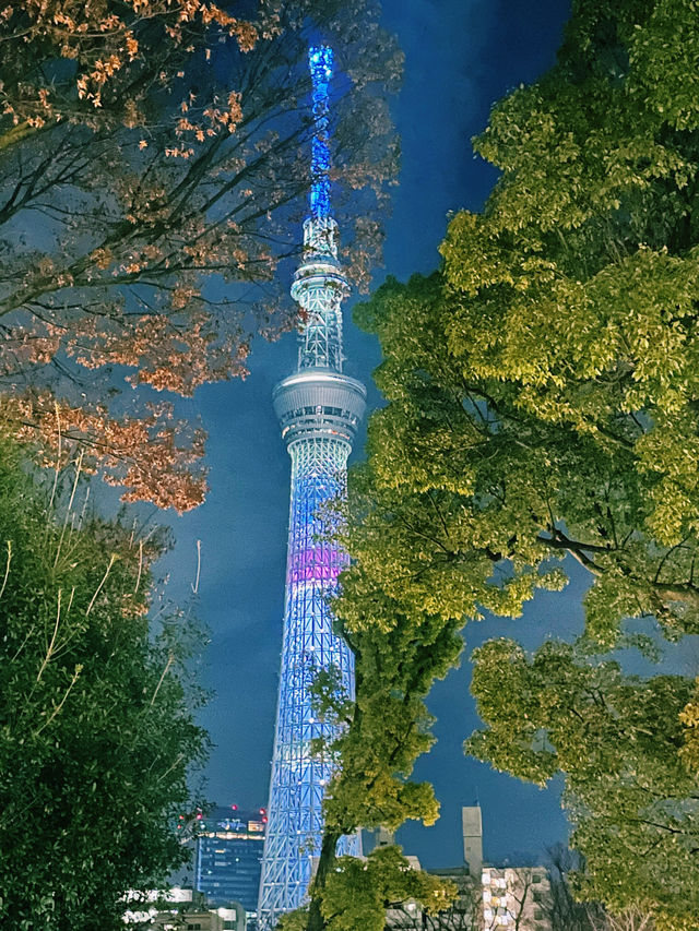 One Perfect Day in Tokyo: Skytree, Asakusa, and Amazing Food