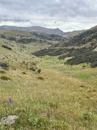 🚴‍♂️ Cromwell Cycling Adventure: Rivers, Hills & Scenic Rides 🌄