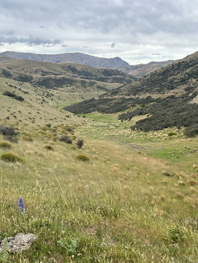 🚴‍♂️ Cromwell Cycling Adventure: Rivers, Hills & Scenic Rides 🌄