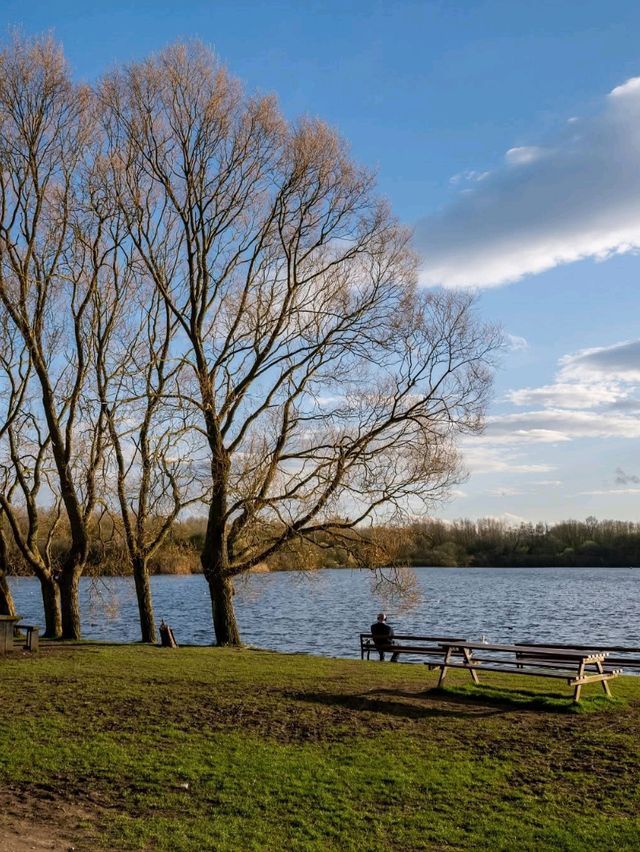 Discover Wigan: A Hidden Gem of History, Culture, and Adventure in Greater Manchester! 🌟